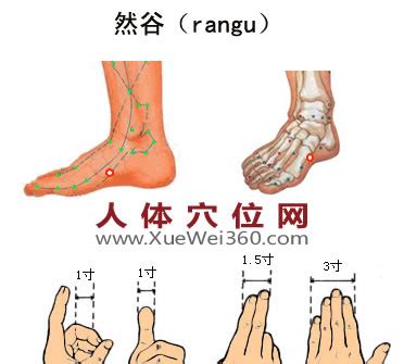 天谷穴 兩性金屬